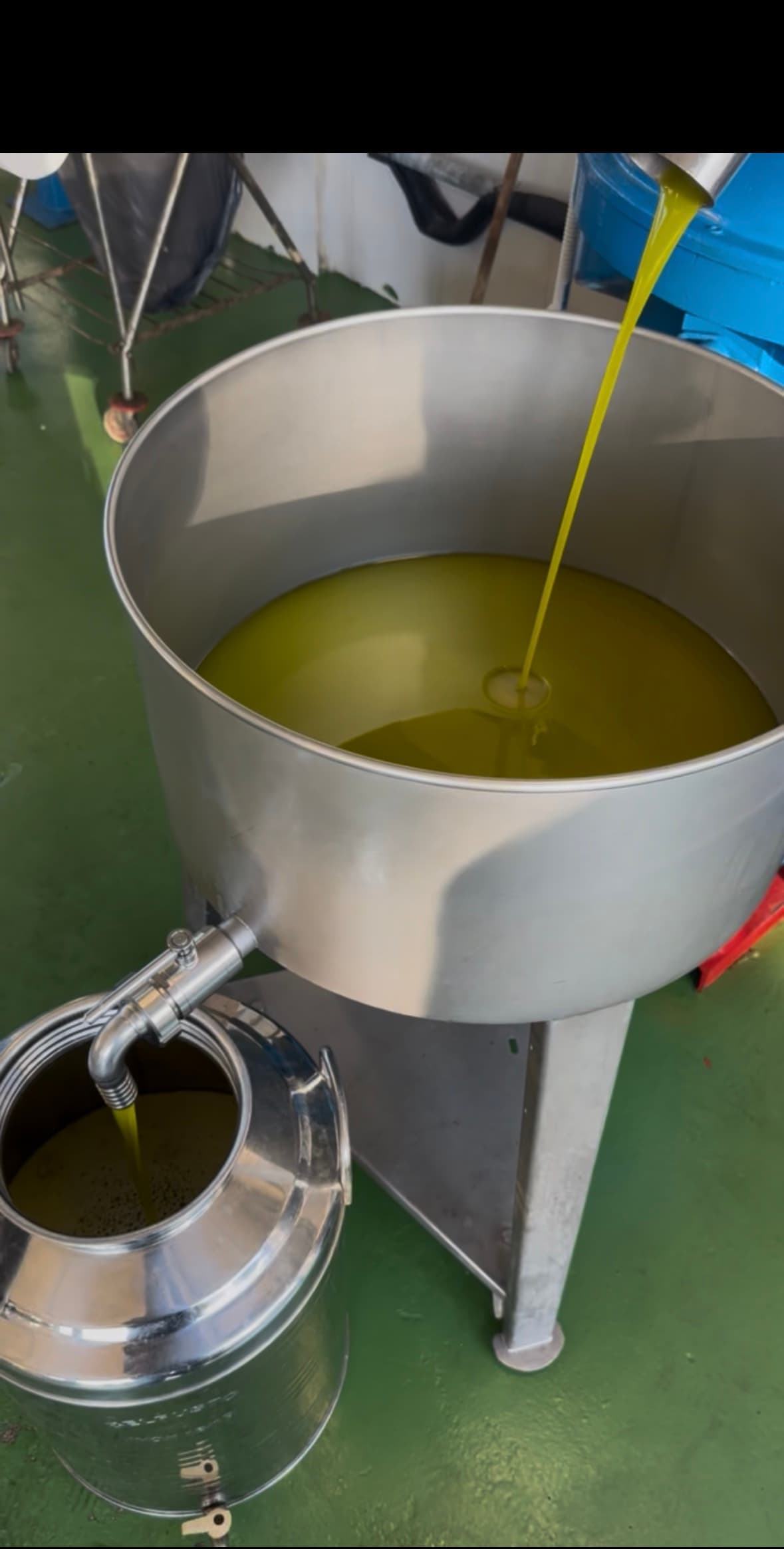 Olive oil pouring from the mill into a green tin.